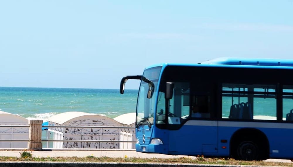 lezione in riva al mare