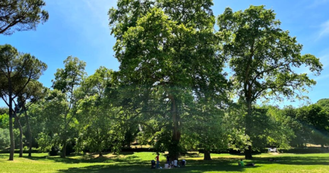 villa borghese