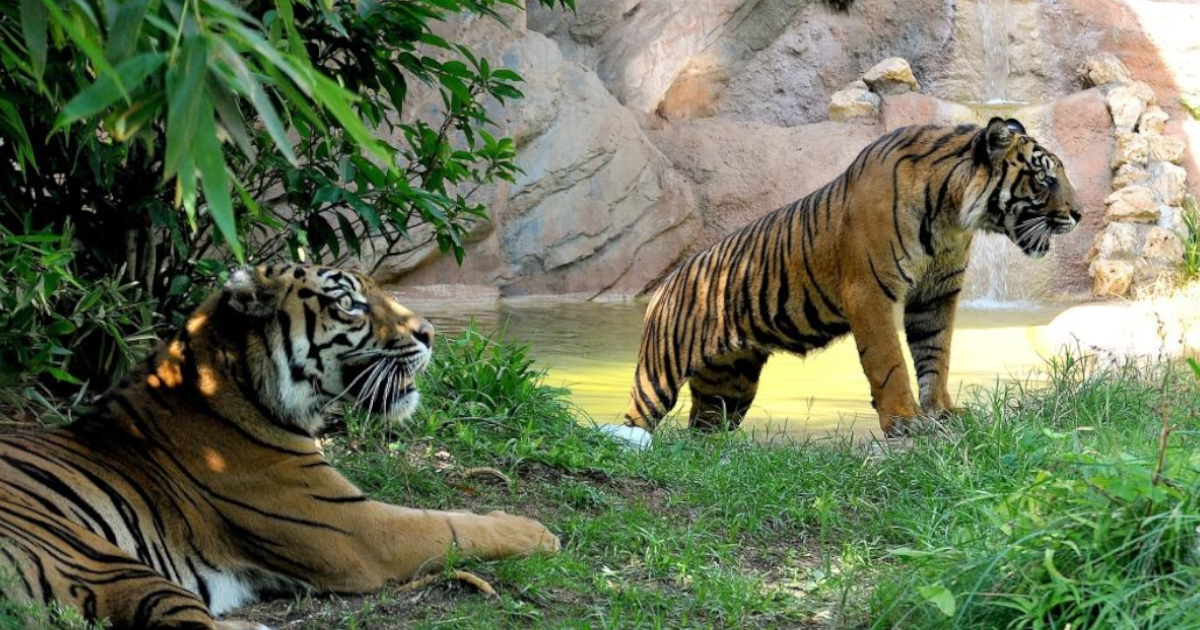 Giornata Mondiale della Fauna Selvatica