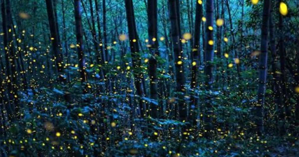 parco dell'appia antica